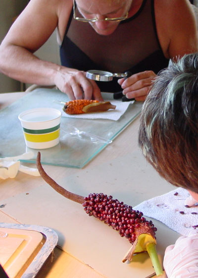 Processing berries